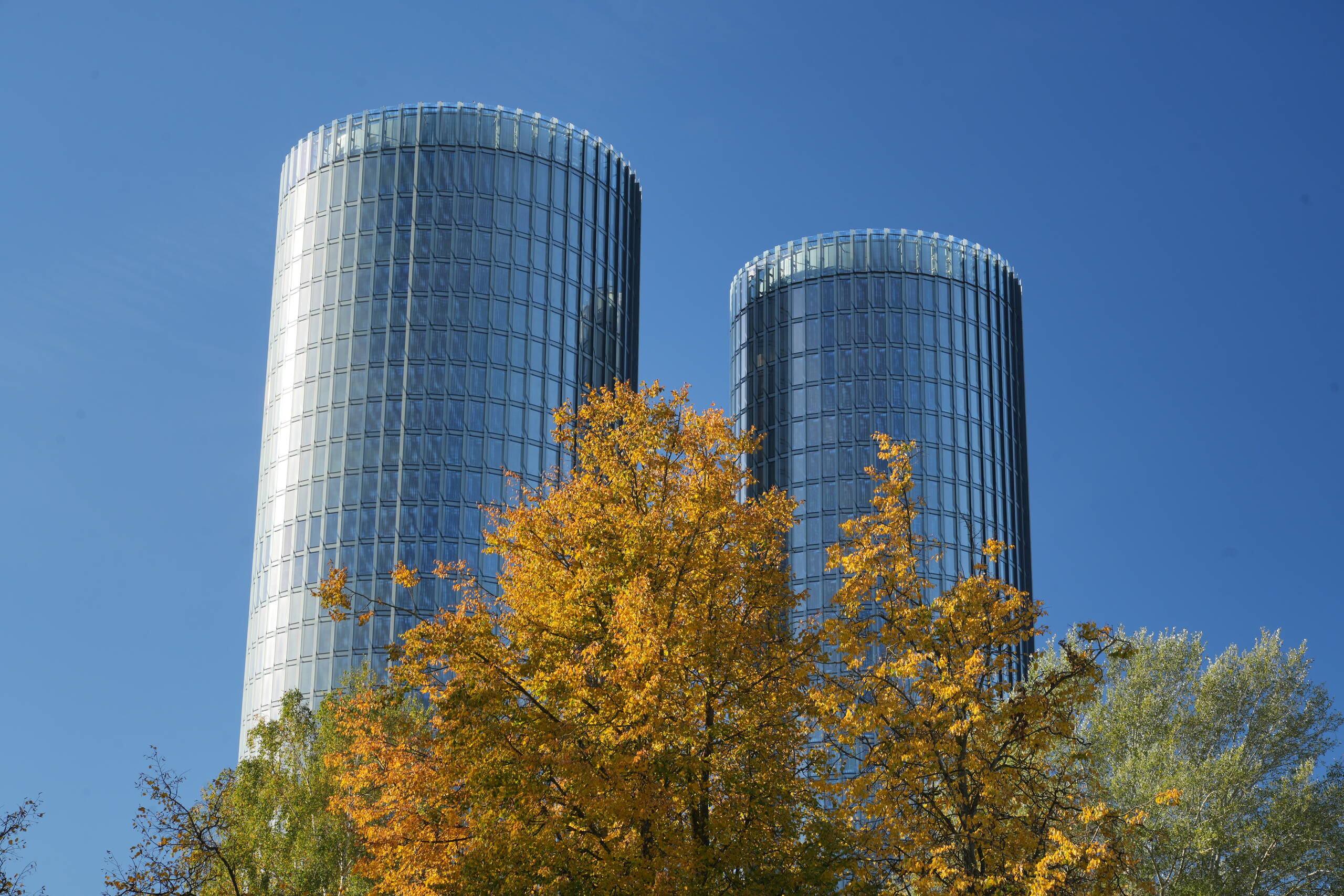 An image of torni rudens.